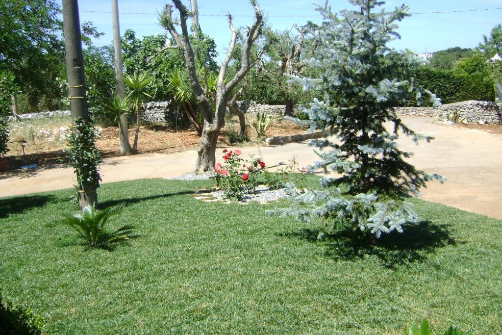 Zahrada ubytování B&B Tenuta Ranieri