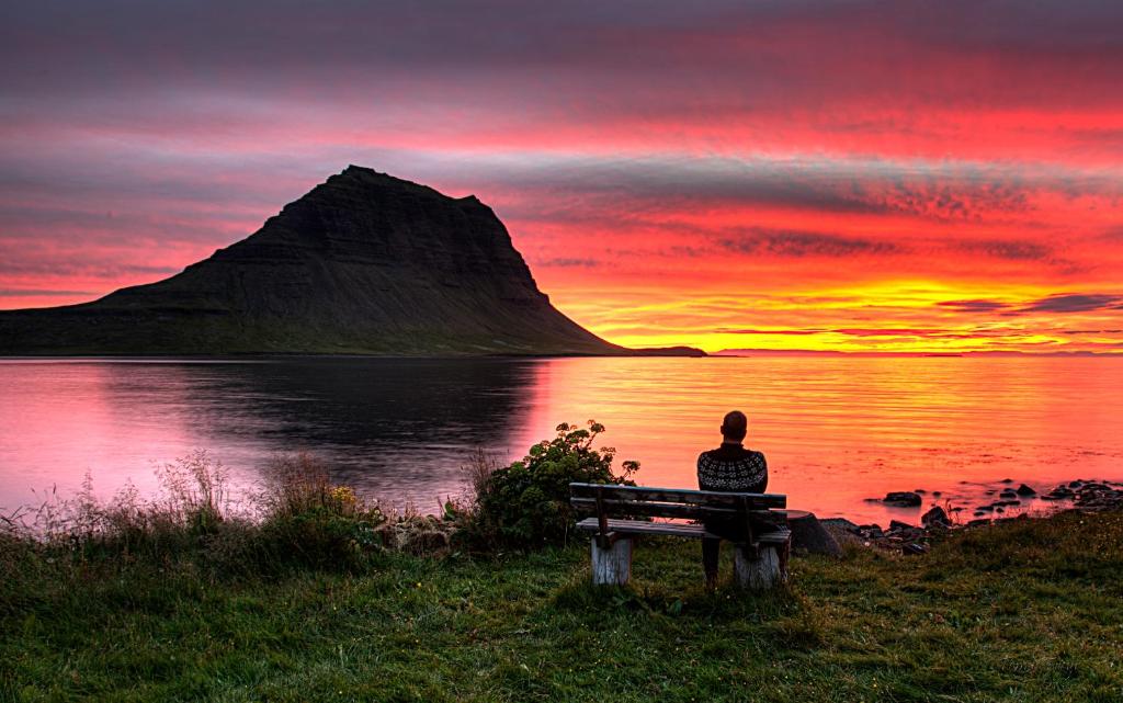 
a bench sitting in the middle of a lake at Grund í Grundarfirdi in Grundarfjordur
