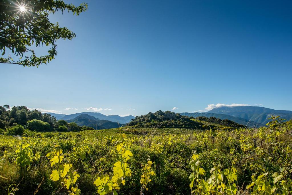 a field of yellow flowers with mountains in the background at Hotel Restaurant Plantevin in Propiac