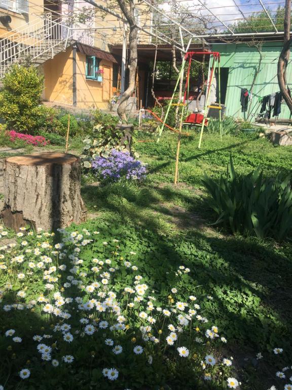 Zahrada ubytování Guesthouse AISI in Lagodekhi