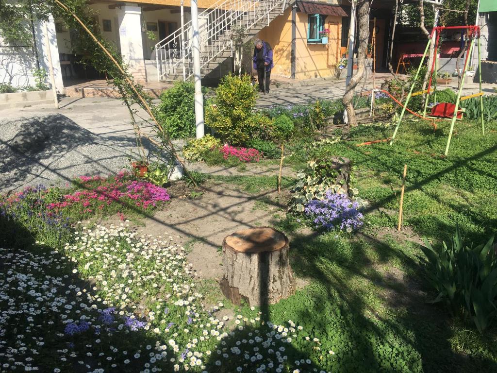 Zahrada ubytování Guesthouse AISI in Lagodekhi