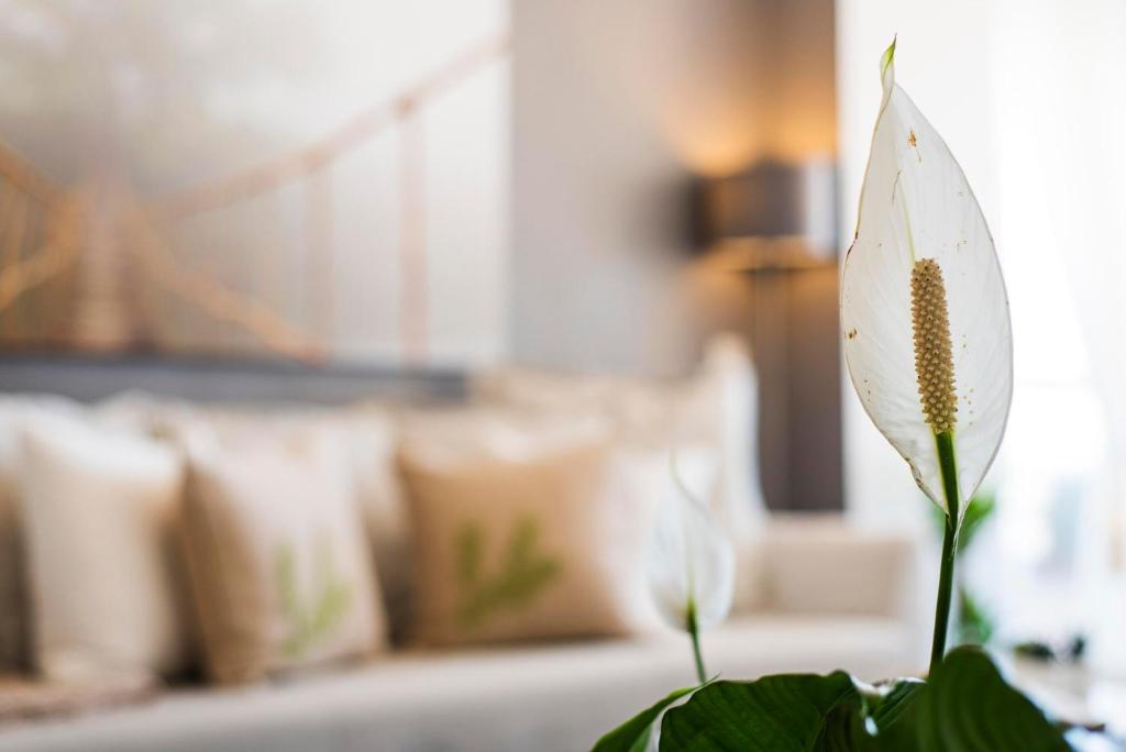 Fotografie z fotogalerie ubytování Wonderful apartment in Puerto Marina v destinaci Benalmádena
