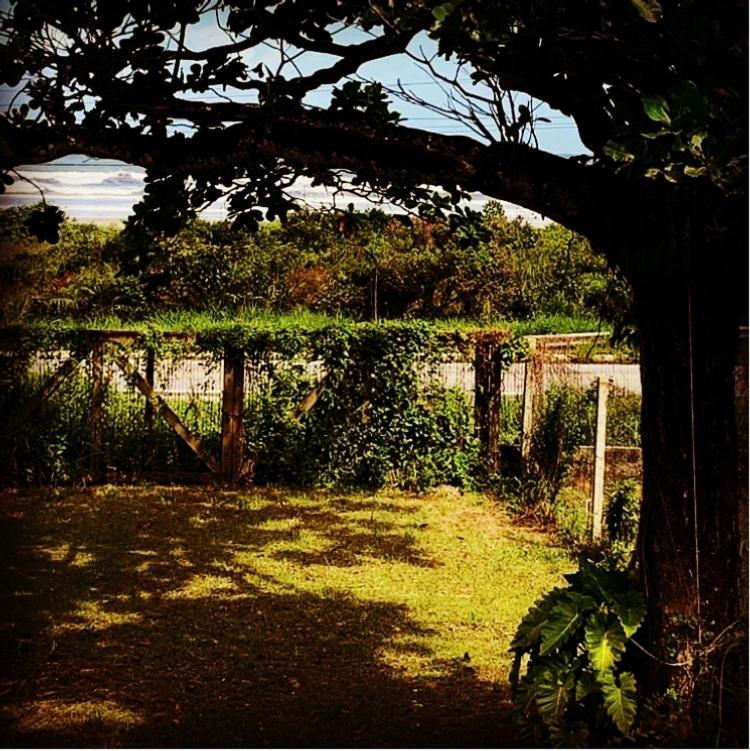  Quarto Celeste Hostel - Litoral Norte.