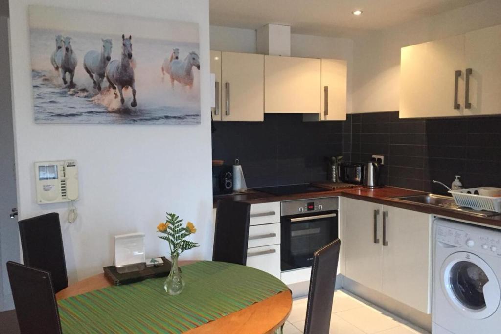 Delightful 1 Bedroom Central Dublin Apartment