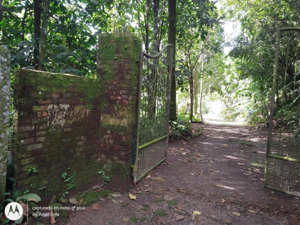 Fotografie z fotogalerie ubytování Kaliawiri Bird Lodge & reserve v destinaci Villavicencio