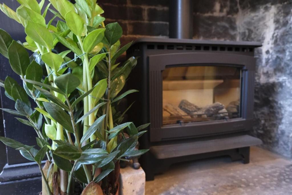 Contemporary Georgian 2BD Flat in Trendy Leith