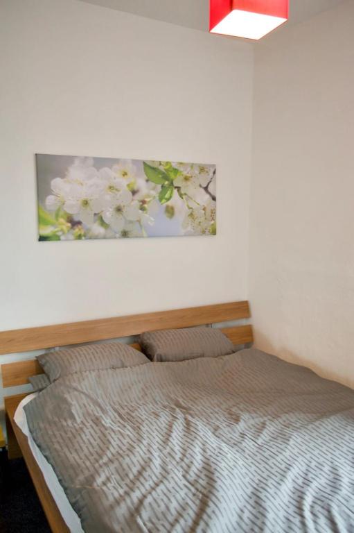 Bright & Cosy 1 BD Flat in Edinburgh