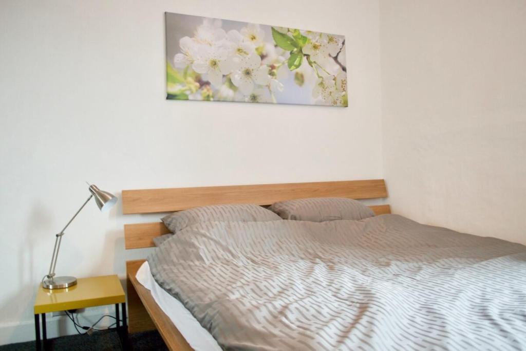 Bright & Cosy 1 BD Flat in Edinburgh