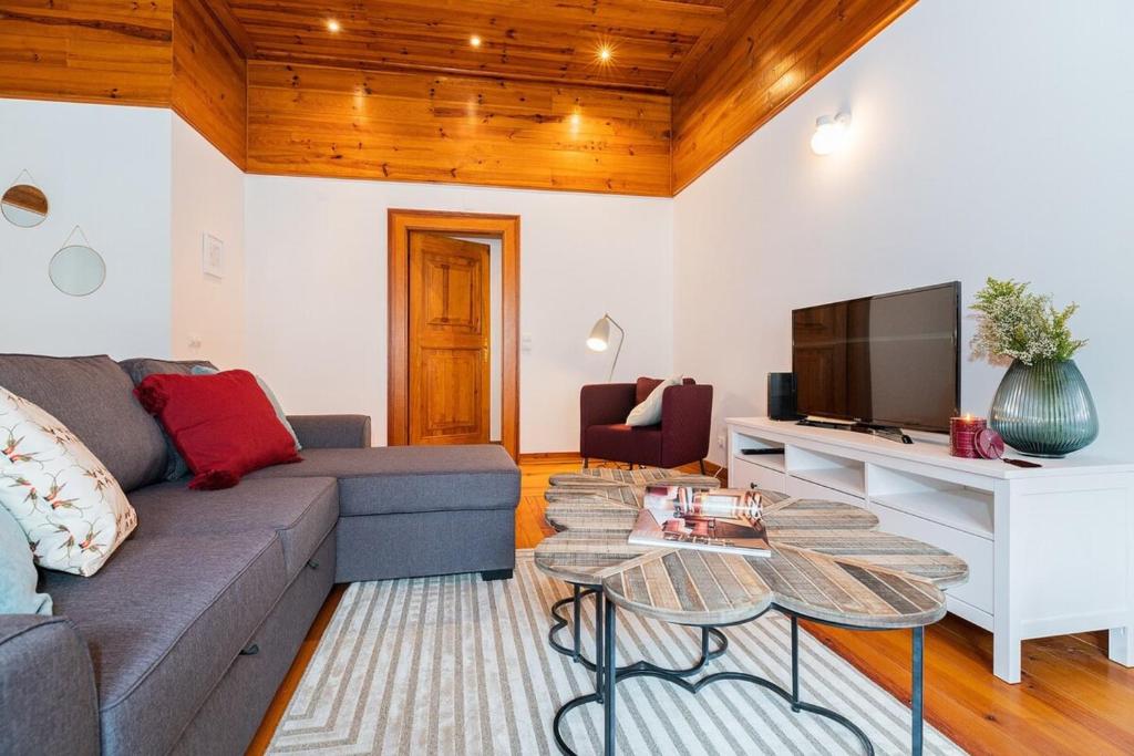 a living room with a couch and a tv at Wonderful Apartment in the Historial Center of Lisbon in Lisbon