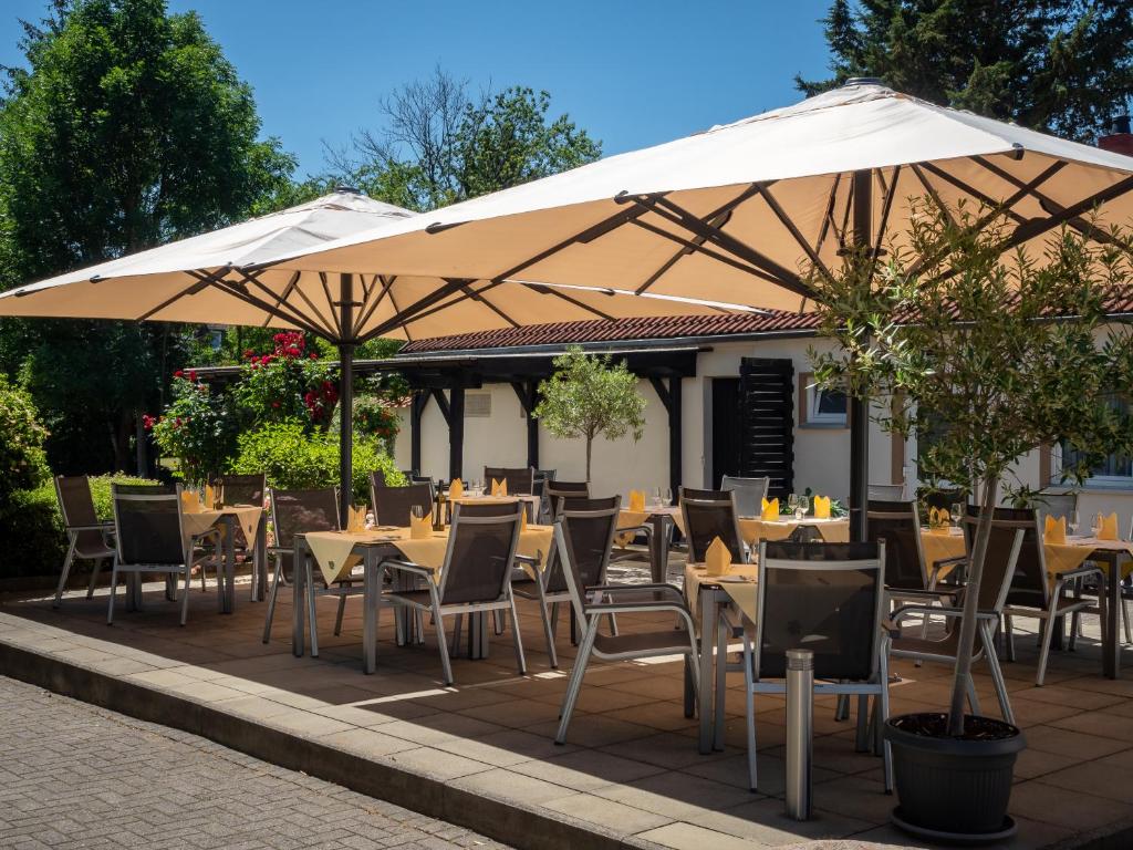 Restaurace v ubytování Hotel Schaper