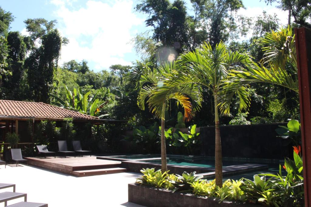 um pátio com palmeiras e uma piscina em Pousada Todas as Luas em Ubatuba