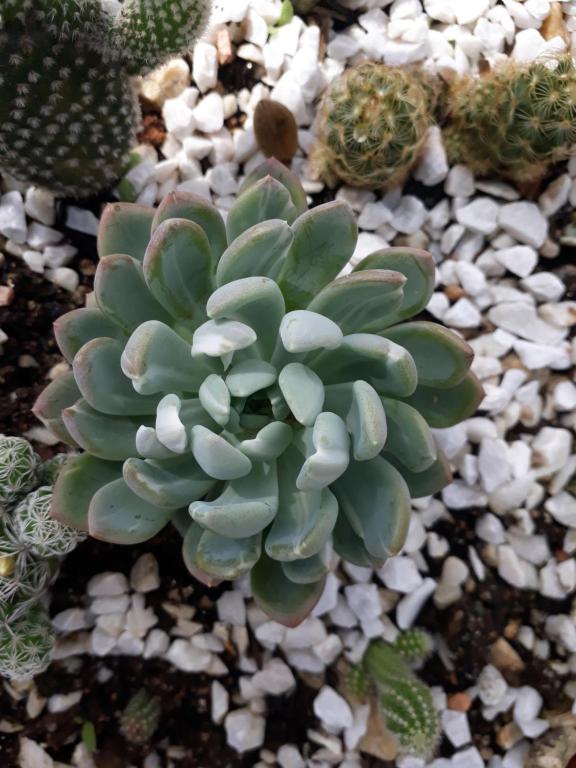  Aluguel temporada Sítio Casa-da-lagoa-nazare Imarui