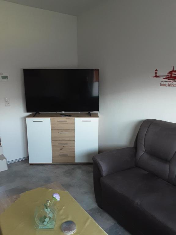 TV a/nebo společenská místnost v ubytování Ferienhaus Middenmank