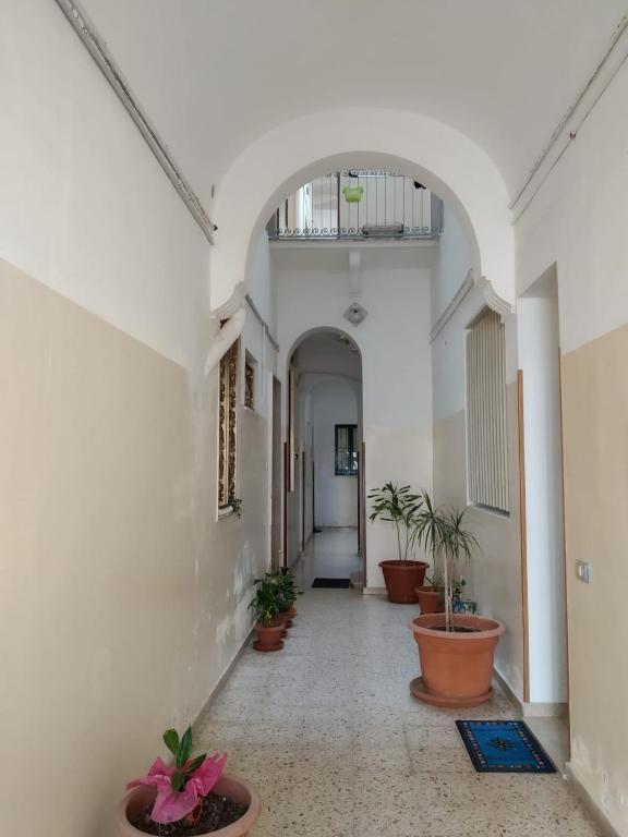 Fotografia z galérie ubytovania Rosadamare appartamento v Trapani
