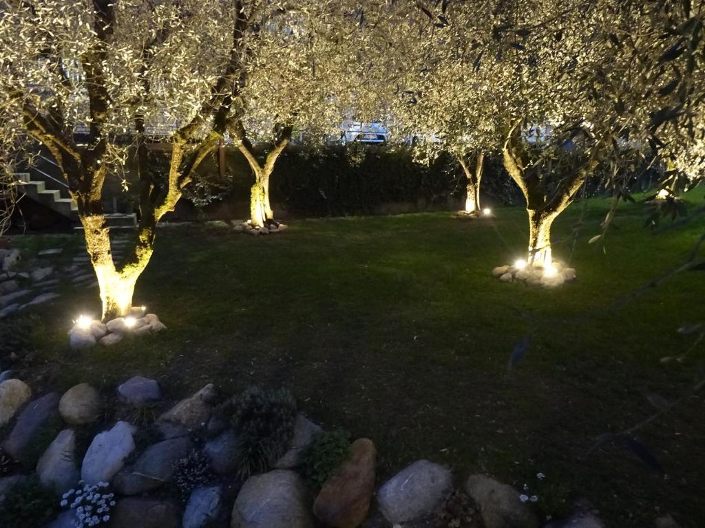 A garden outside B&B ForseSiForseNo