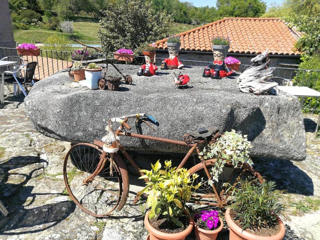 Zahrada ubytování Caserio de Fontes