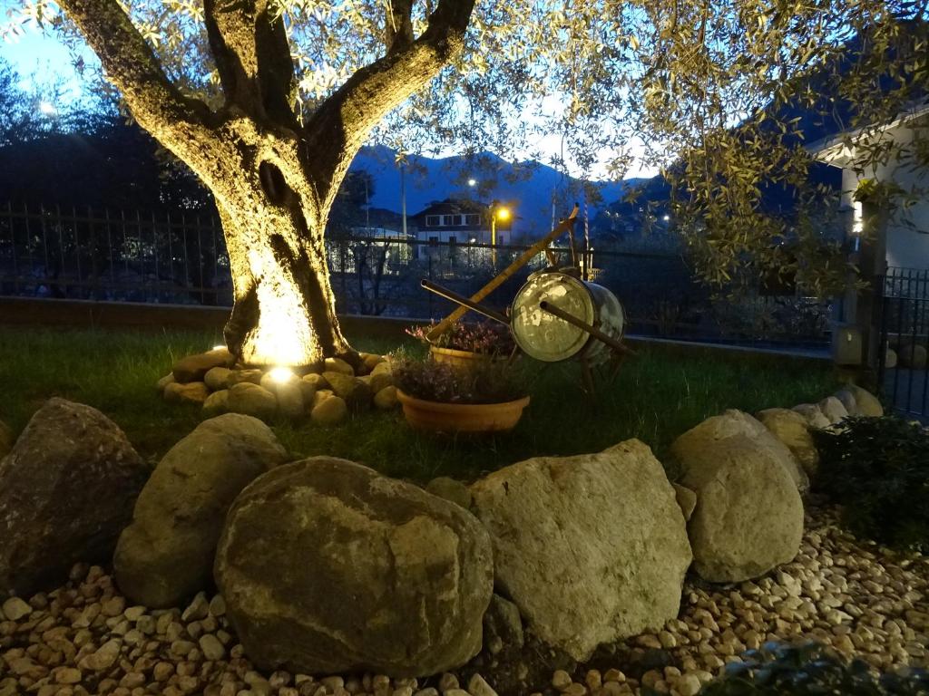 A garden outside B&B ForseSiForseNo
