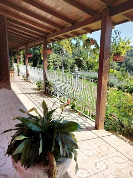  Fazenda Angelin