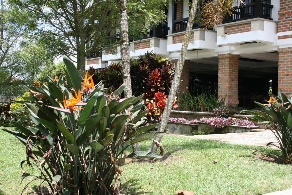 Zahrada ubytování Finca Hotel La Esperanza