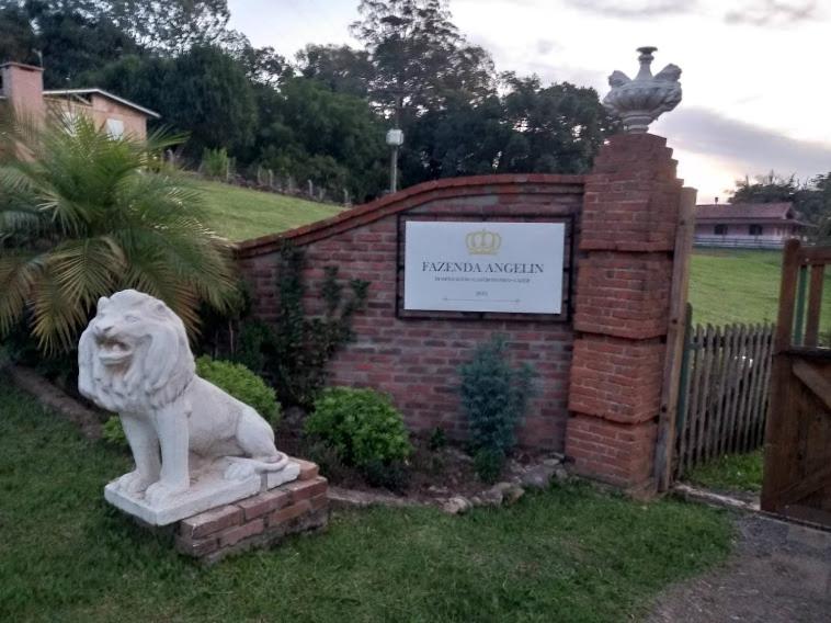  Fazenda Angelin