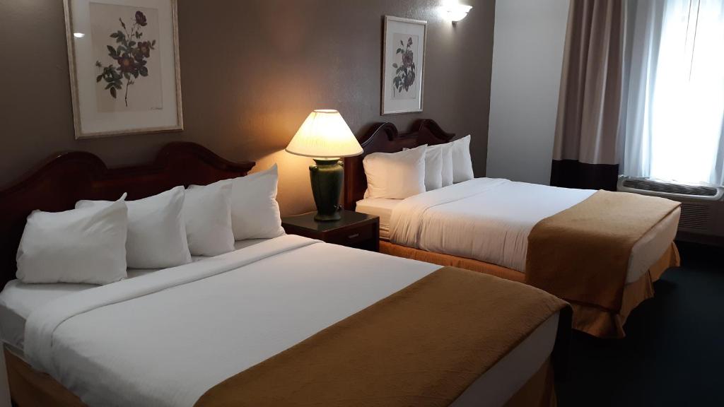 a hotel room with two beds and a lamp at Pleasant Moose Lodge in Newberry