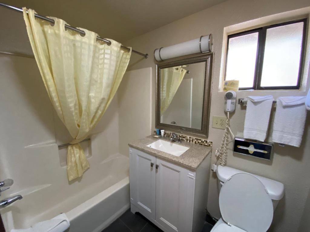 a bathroom with a toilet and a sink and a mirror at Motel In The Pines in Munds Park