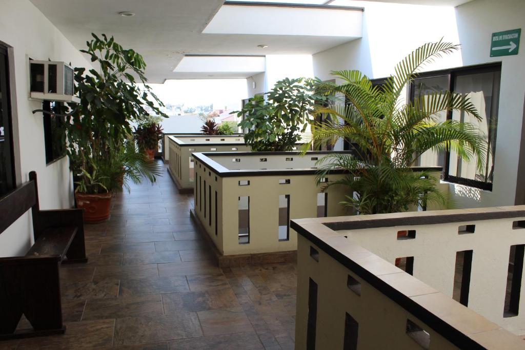 Fotografie z fotogalerie ubytování Invernadero Inn v destinaci Veracruz