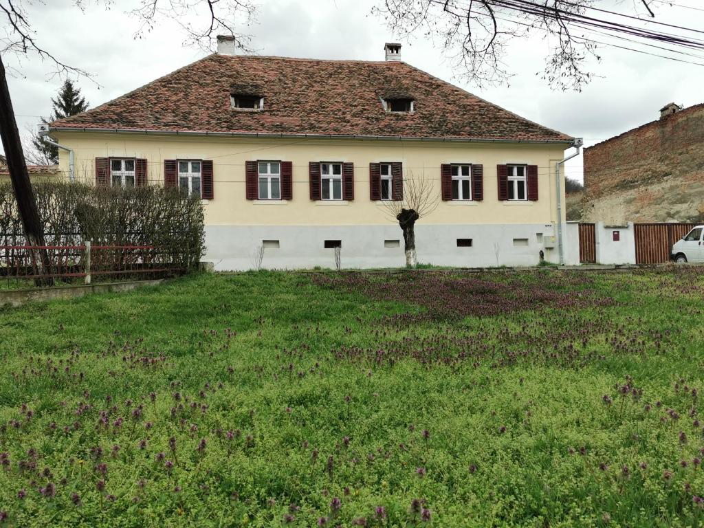 Unesco Apartments Wurmloch - Housity