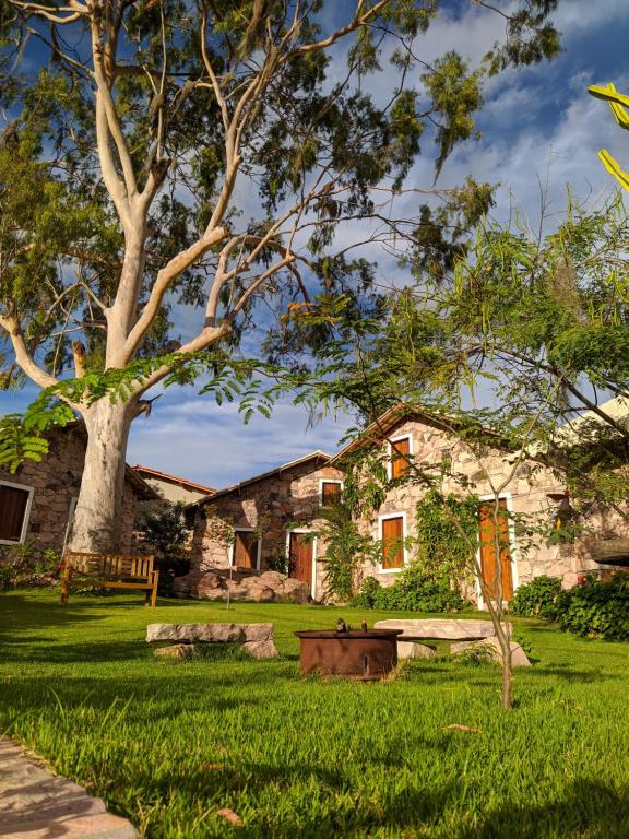 a stone house with a tree in the yard at Oforasteiro in Mucugê