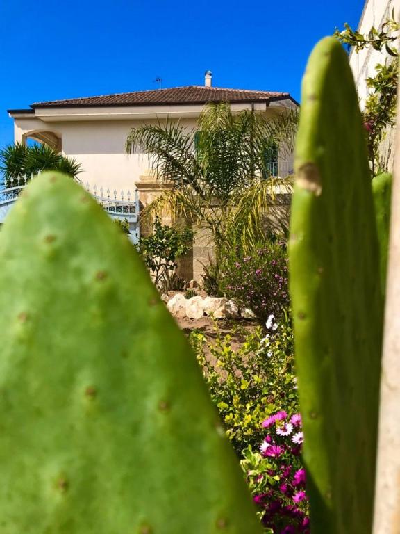 Zahrada ubytování L'ANTICA PIETRA Casa Vacanza Salento