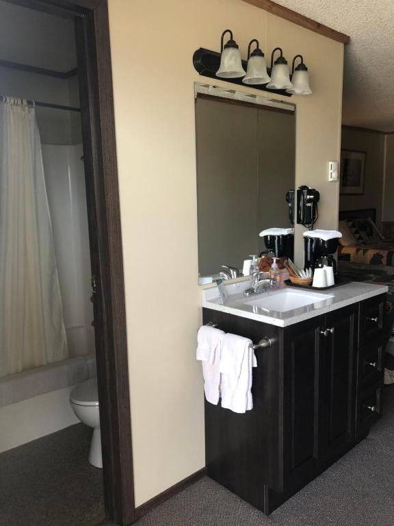 a bathroom with a sink and a toilet and a mirror at Denali Park Hotel in Healy
