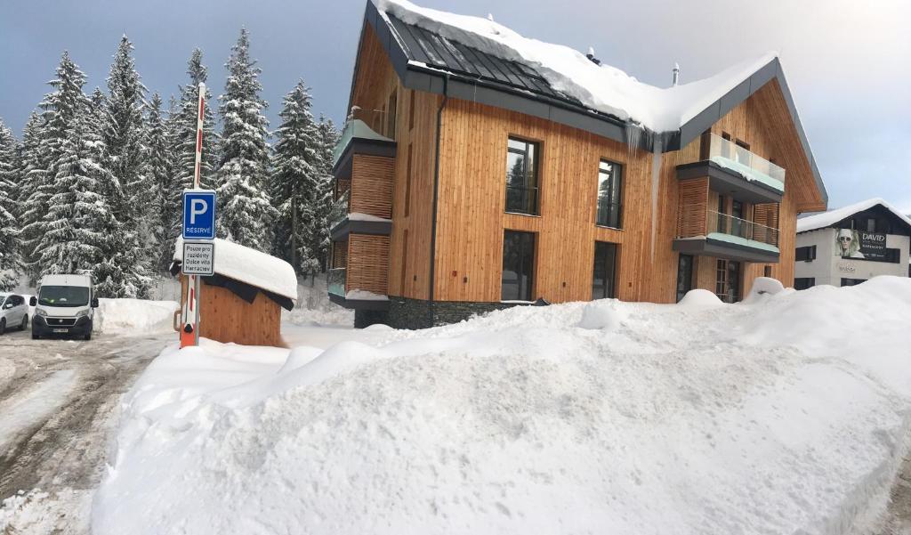 Apartmán Dolce Vita Harrachov 1.8 v zimě