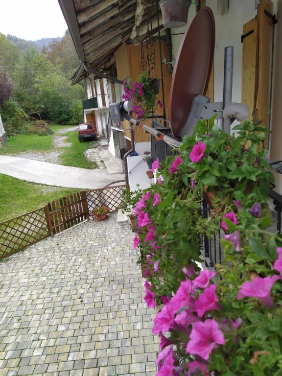 Zahrada ubytování Il Ciliegio di Lurisia