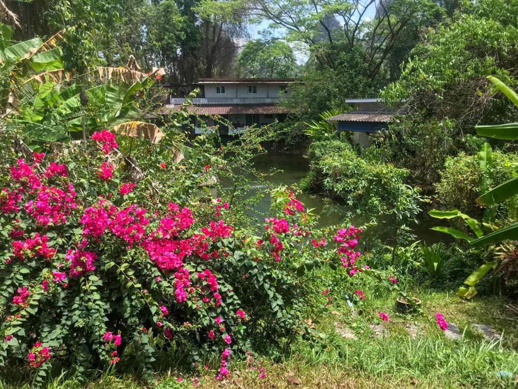 Zahrada ubytování Baan Suanthip Homestay - Aoluek Natural Retreat