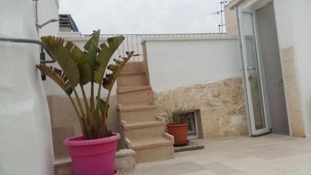 Kép Ostuni Guest House szállásáról Ostuniban a galériában