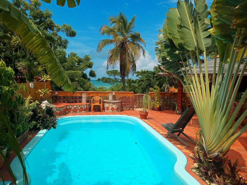 Casa da Lua في جاكوما: مسبح في حديقة خلفية فيها نخلة