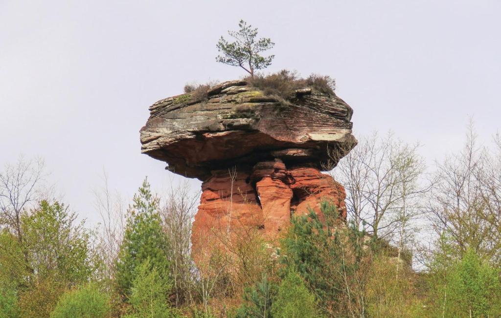 Příroda nedaleko apartmánu