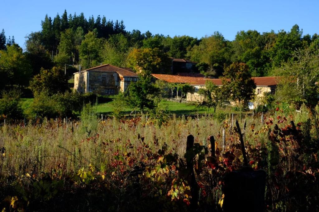 une maison au milieu d'un champ dans l'établissement O Fogar do Monte, à Sober