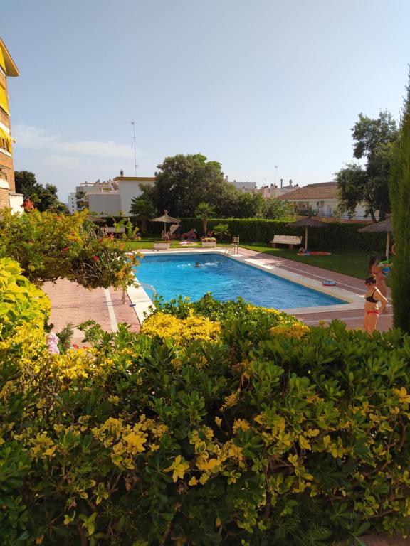 a swimming pool in a garden with yellow flowers at SunSea Lloret Apartament in Lloret de Mar