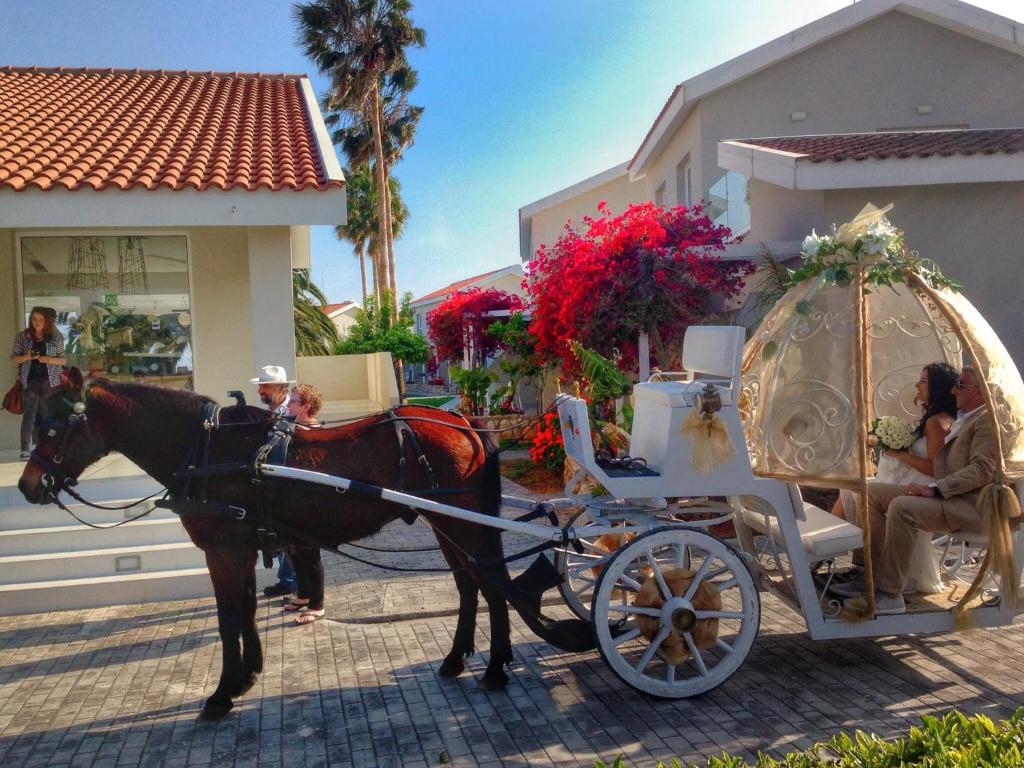 a horse drawn carriage parked in front of a house at Mon Repos Hotel in Ayia Napa