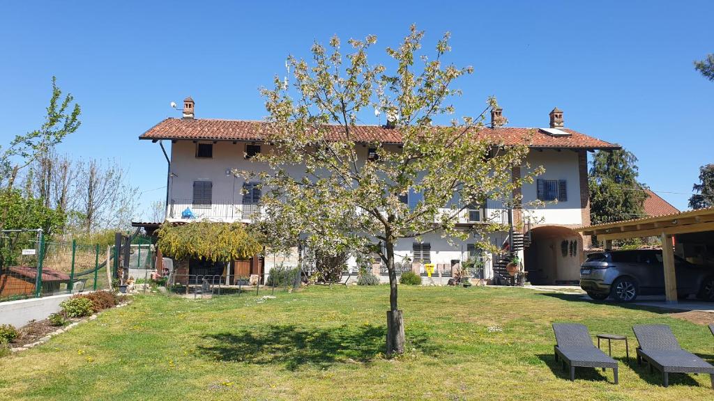 La Tana dei Corgi في Moncrivello: شجرة في ساحة أمام المنزل
