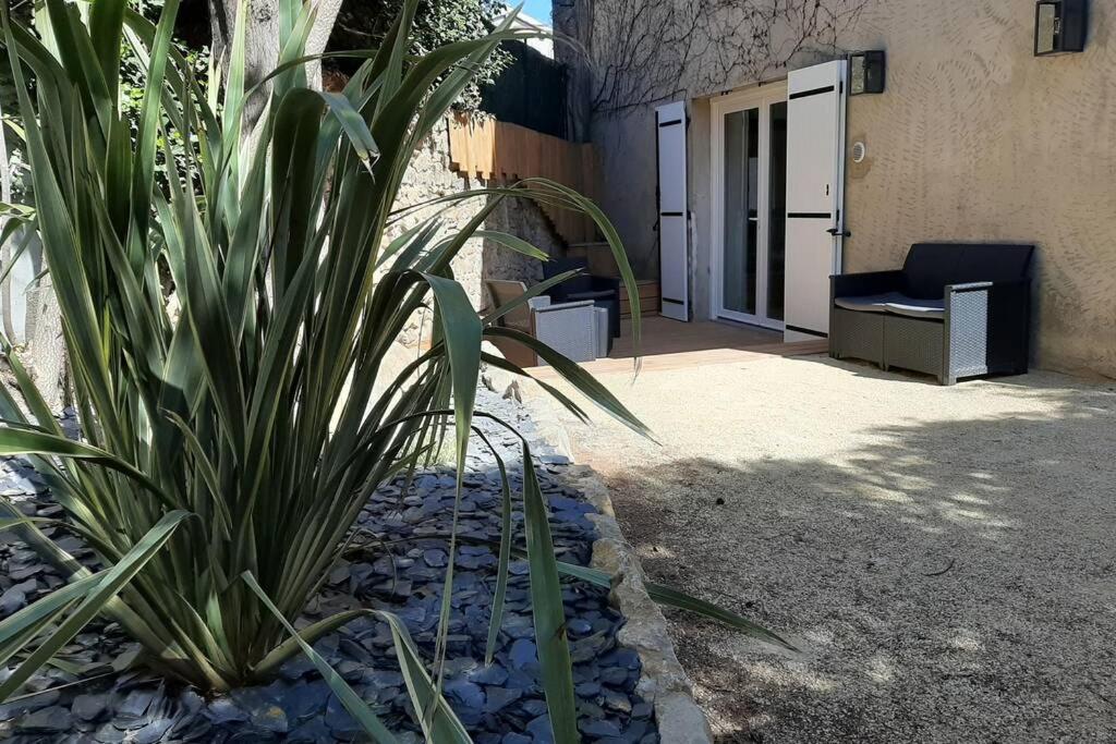 a plant in front of a door with a chair at STUDIO RENOVE RDC TERRASSE + EXTERIEUR PAYSAGE in Grézieu-la-Varenne