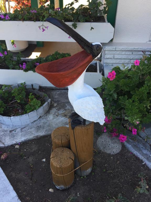 Zahrada ubytování Monterey Pines Inn