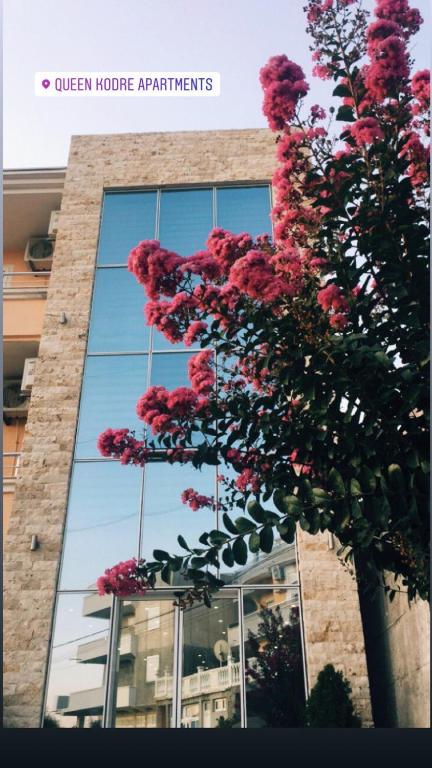 Fotografie z fotogalerie ubytování Queen Kodre Apartments v destinaci Ulcinj