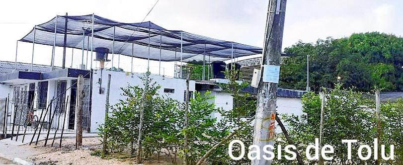 Fotografie z fotogalerie ubytování Oasis de Tolú v destinaci Tolú