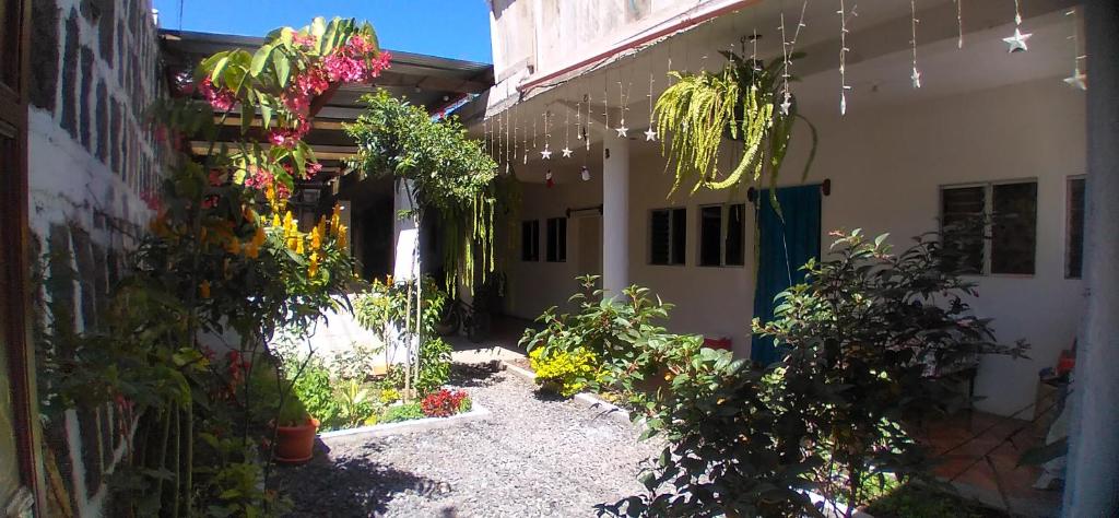 un patio de una casa con plantas y luces en Casa LLEMO en San Pedro La Laguna