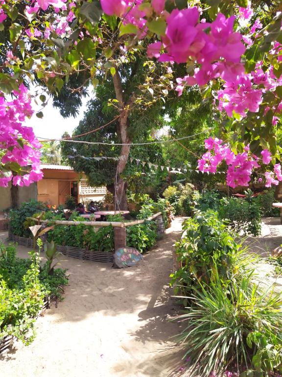 a garden with pink flowers on a tree at Centre Touristique et Culturel Casamance in Diakène Ouolof