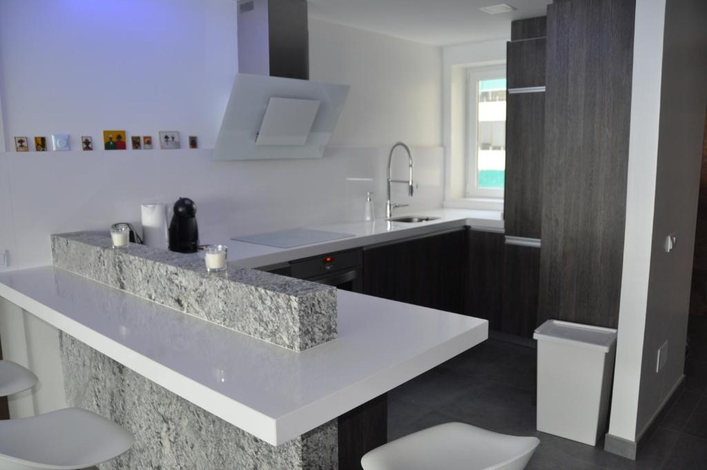 Kuchyňa alebo kuchynka v ubytovaní Magnifique appartement avec une incroyable vue sur mer