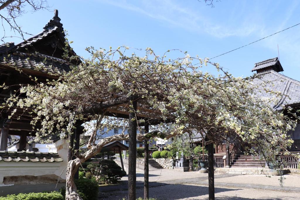 Fotografie z fotogalerie ubytování Temple Hotel 正暦寺 v destinaci Ayabe