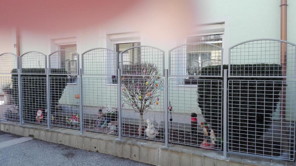 un grupo de perros en jaulas frente a un edificio en Sommerhaus, en Veszprém
